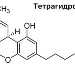 Тетрагидроканнабинол