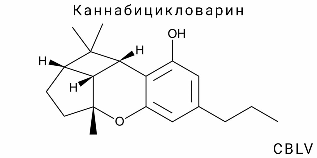 Каннабицикловарин (CBLV)