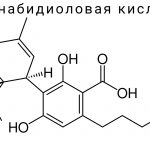Каннабидиоловая кислота (CBDA)