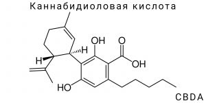 Каннабидиоловая кислота (CBDA)