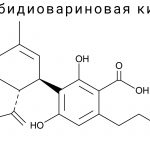 Каннабидиовариновая кислота (CBDVA)