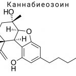 Каннабиеозоин (CBE)