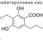 Каннабигероловая кислота (CBGA)