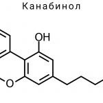 Канабинол (CBN)