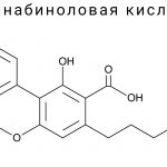 Каннабиноловая кислота (CBNA)