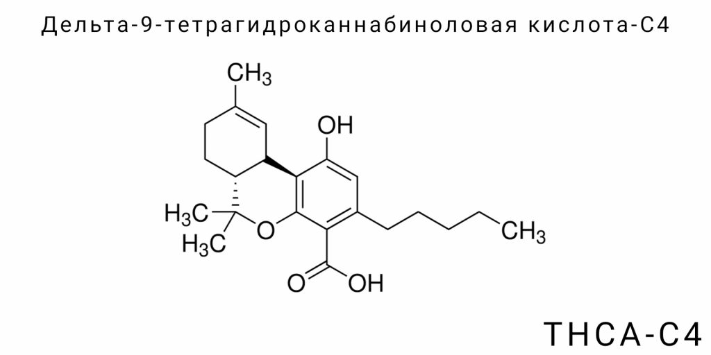 Дельта-9-тетрагидроканнабиноловая кислота-C4 (THCA-C4)