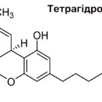 Тетрагідроканабінол