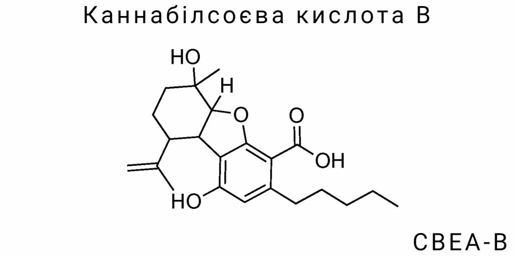 Каннабілсоєва кислота B (CBEA-B)