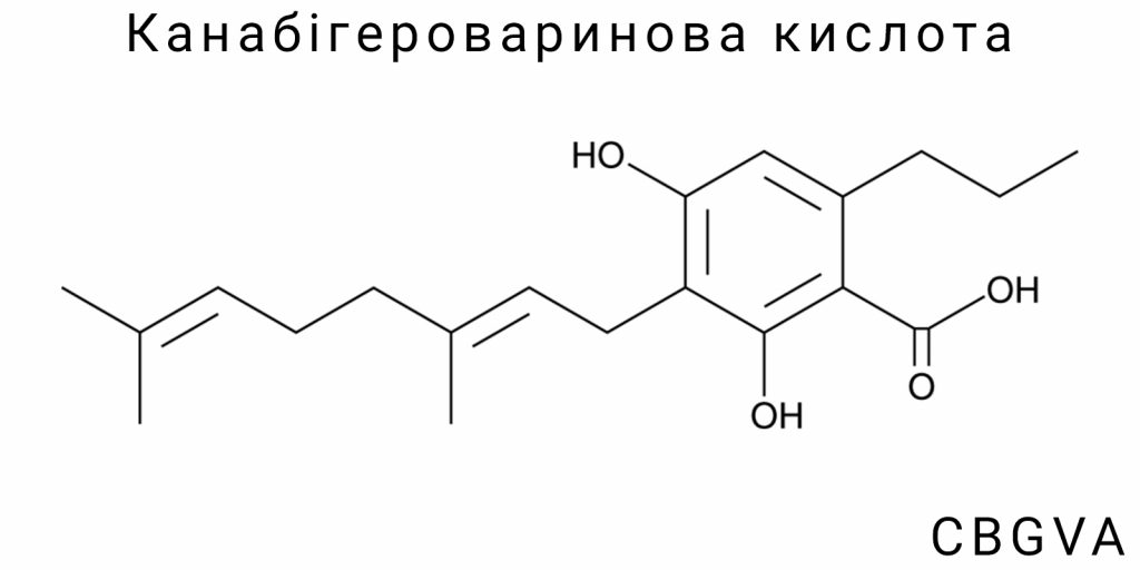 Канабігероваринова кислота (CBGVA)