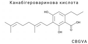 Канабігероваринова кислота (CBGVA)