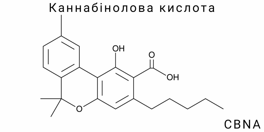 Каннабінолова кислота (CBNA)