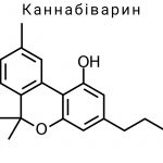 Каннабіварин (CBV)