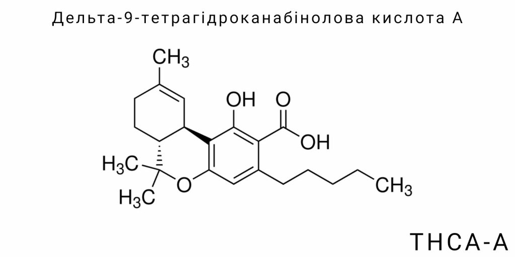 Дельта-9-тетрагідроканабінолова кислота А (ТГКА-А)