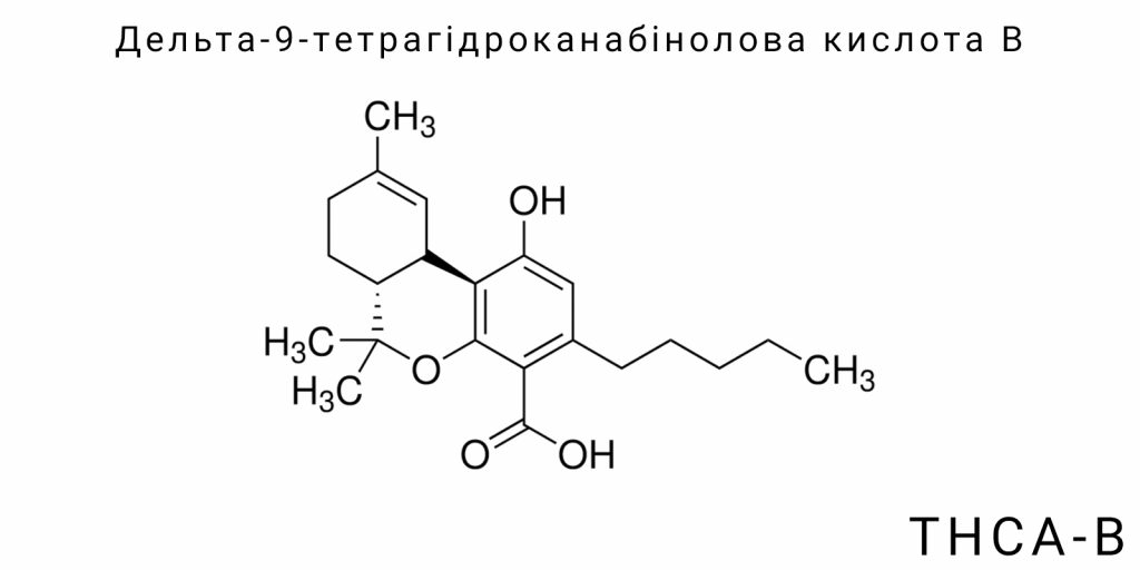 Дельта-9-тетрагідроканабінолова кислота B (THCA-B)