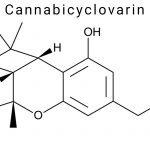 Cannabicyclovarin (CBLV)