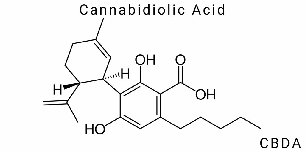 Cannabidiolic Acid (CBDA)