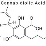 Cannabidiolic Acid (CBDA)