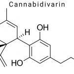Cannabidivarin (CBDV)