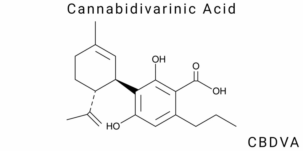 Cannabidivarinic Acid (CBDVA)