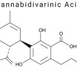 Cannabidivarinic Acid (CBDVA)