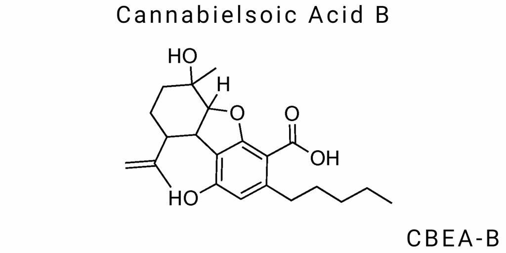 Cannabielsoic Acid B (CBEA-B)