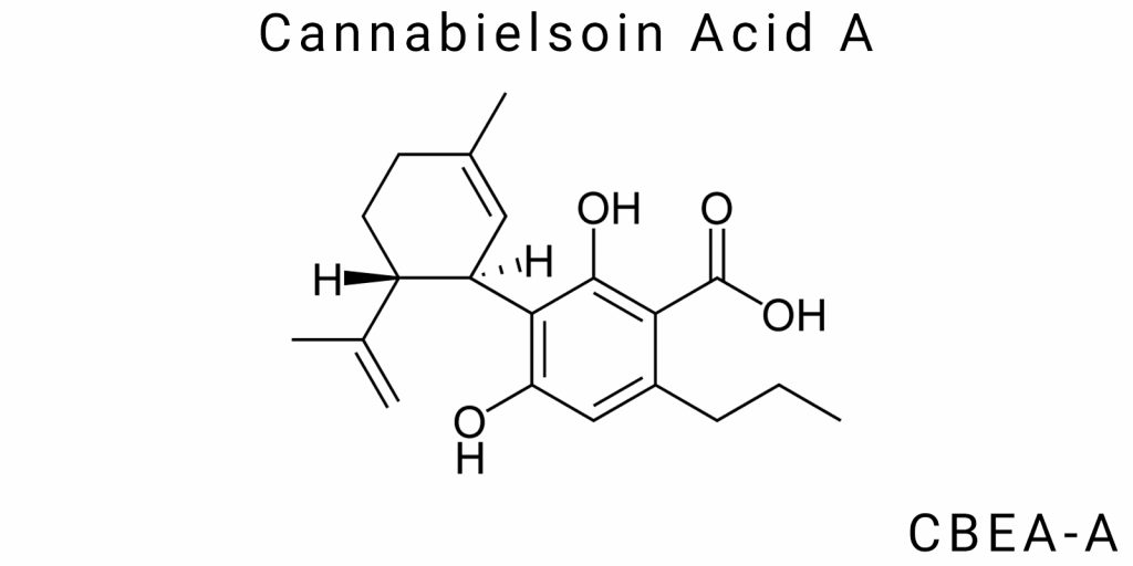 Cannabielsoin Acid A (CBEA-A)