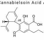 Cannabielsoin Acid A (CBEA-A)