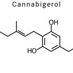 Cannabigerol (CBG)