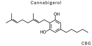 Cannabigerol (CBG)