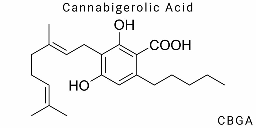 Cannabigerolic Acid (CBGA)