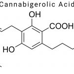 Cannabigerolic Acid (CBGA)