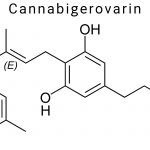 Cannabigerovarin (CBGV)