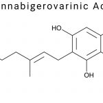 Cannabigerovarinic Acid (CBGVA)