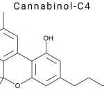 Cannabinol-C4 (CBN-C4)