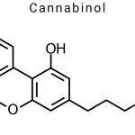 Cannabinol (CBN)