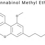 Cannabinol Methyl Ether (CBNM)