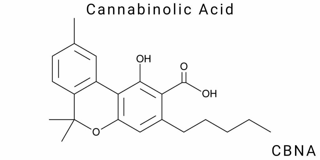 Cannabinolic Acid (CBNA)