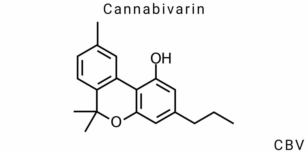 Cannabivarin (CBV)