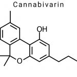 Cannabivarin (CBV)