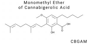 Monomethyl Ether of Cannabigerolic Acid (CBGAM)