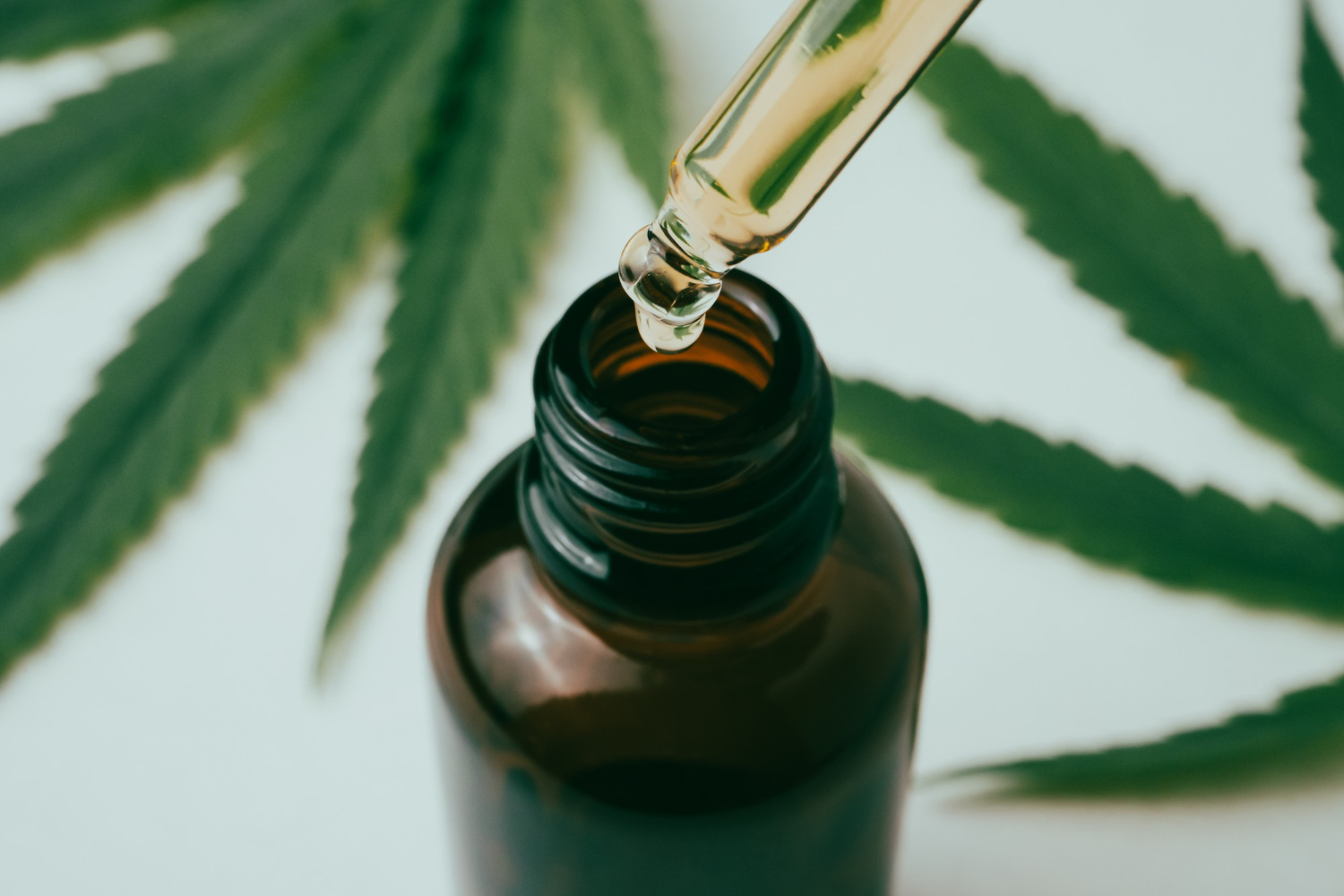 CBD Oil Tincture
