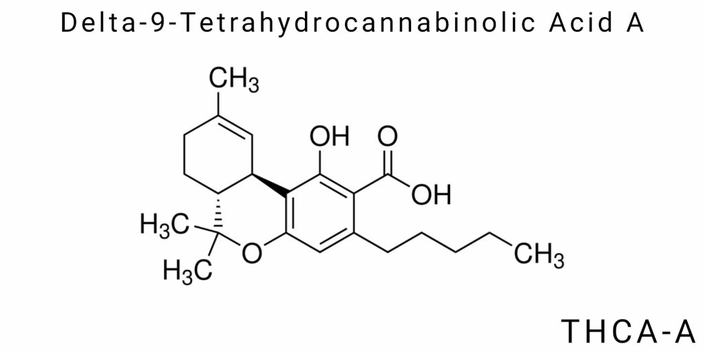 Delta-9-Tetrahydrocannabinolic Acid A (THCA-A)