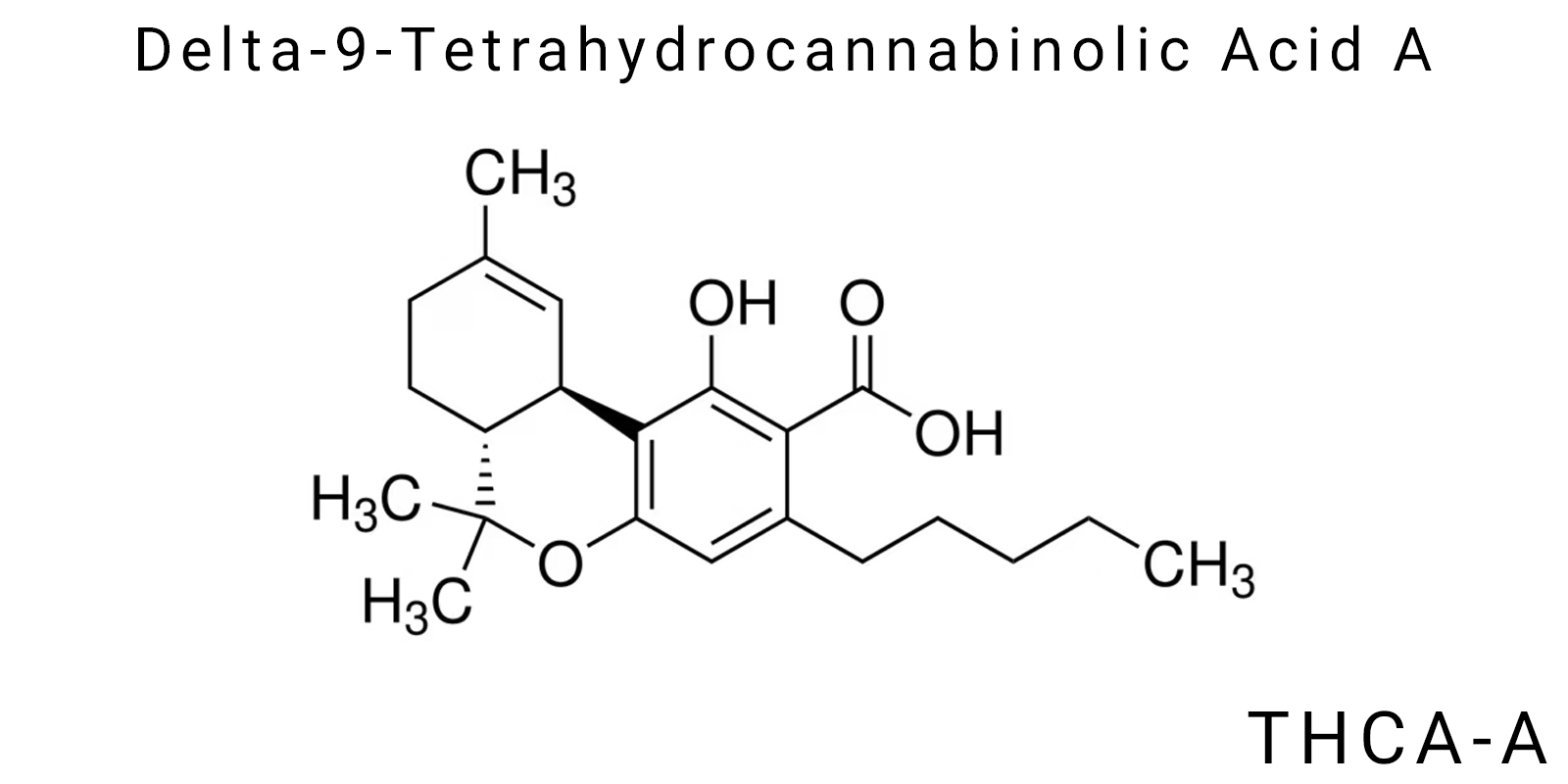 Delta-9-Tetrahydrocannabinolic Acid A (THCA-A)