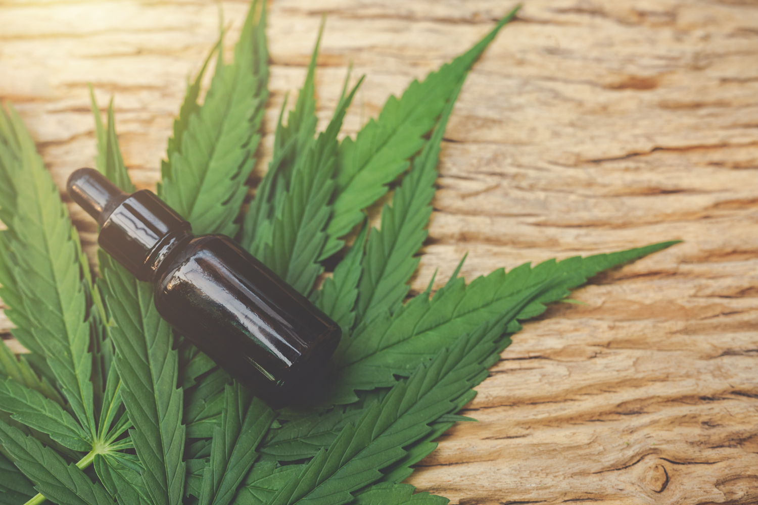 Pure Hemp Oil